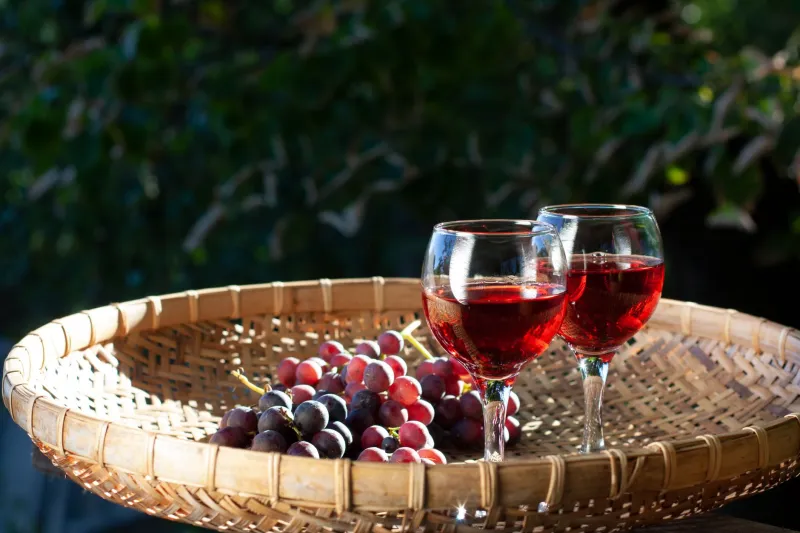 Timing Is Everything: A Season-by-Season Guide to Drinking Wine at Its Best
