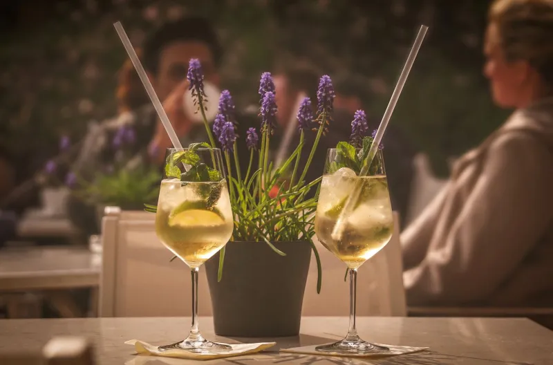 Present Without the Pour: A Sober-Curious Guest's Guide to the Full Wine Bar Experience